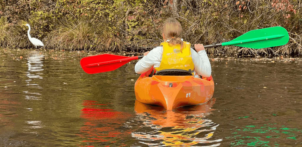 About City Paddles